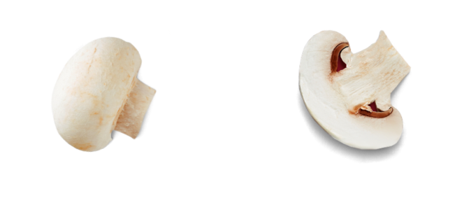 background nuts