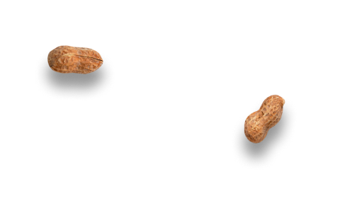 background nuts