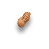 front nuts