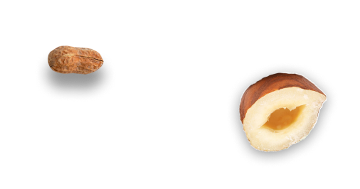 background nuts